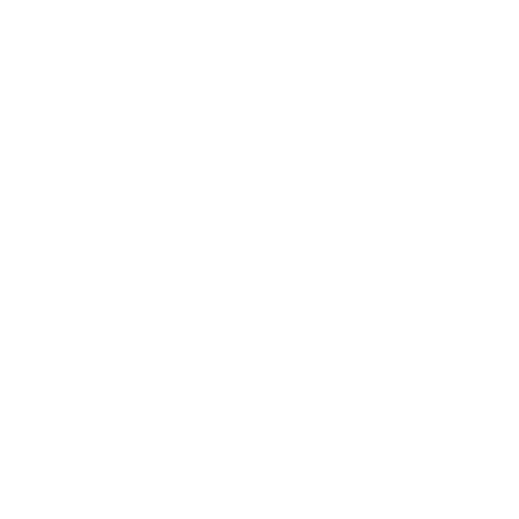 Paradise Group